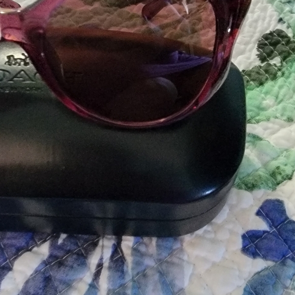 Coach Butterfly Sunglasses - HC8307U - Picture 5 of 14